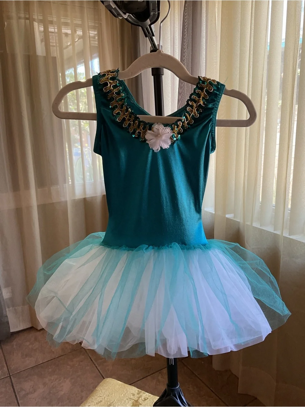 Teal and White Ballet Tutu Dress with Gold Trim - Kids Costume